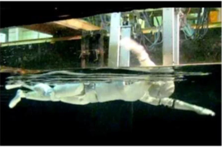 Swumanoid is designed to reproduce a human swimmer's movements (Image: Tokyo Institute of Technology)