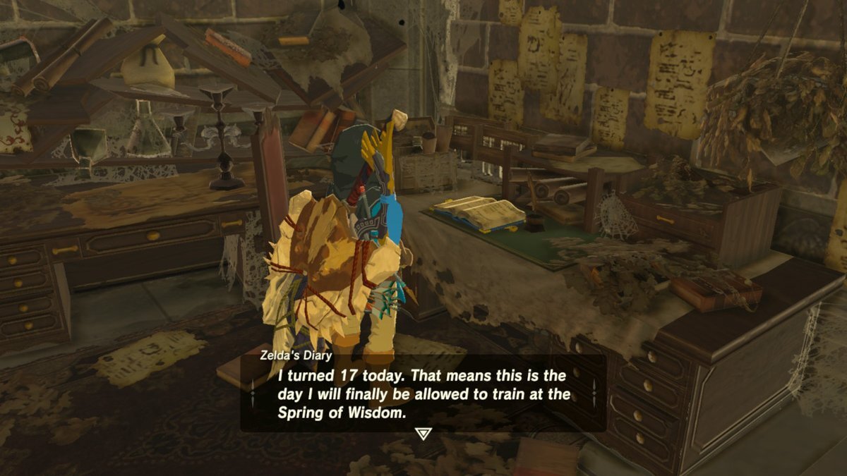Zelda's diary