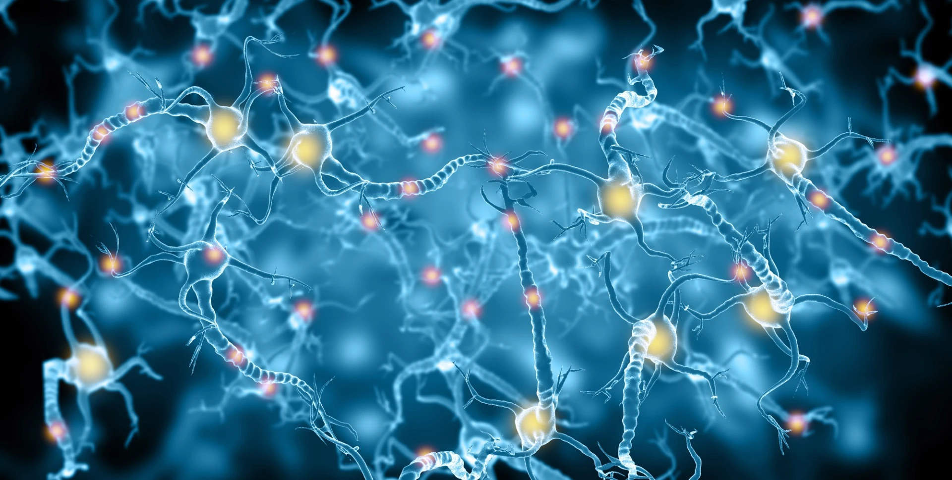 A new discovery into the mechanism behind cerebral small vessel disease may offer new treatments to prevent or even repair damage associated with age-related dementia