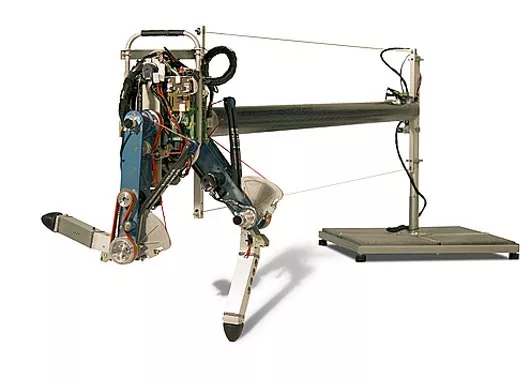 Delft University's planar running robot Phides can reach speeds of 2.2 mph with a flight phase of 54 percent of each stride