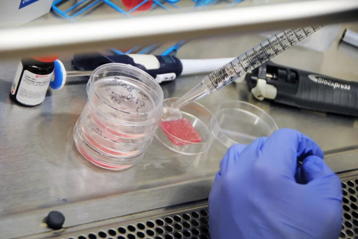 A new bioprinted skin replicates the layers and thickness of human skin