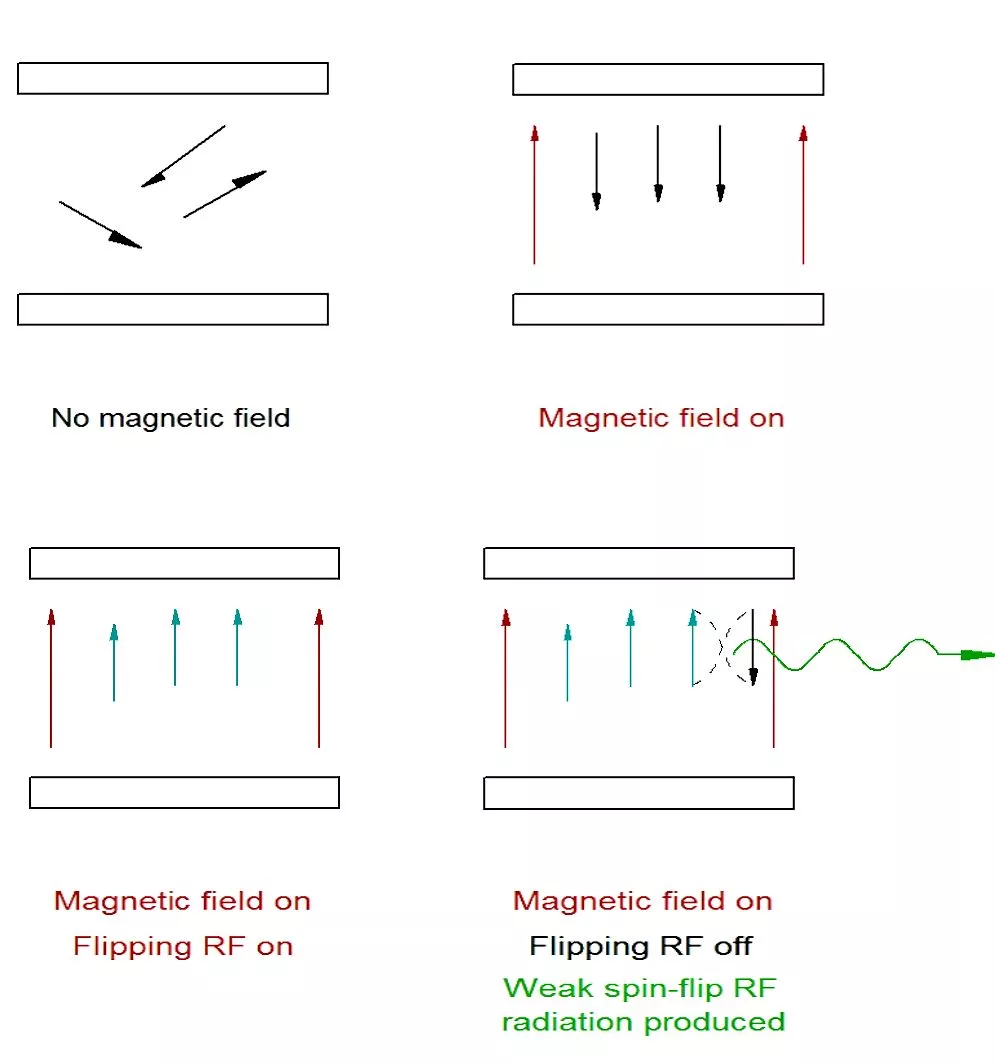 Generation of weak RF spin-flip radiation during MRI imaging (Image: Brian Dodson)