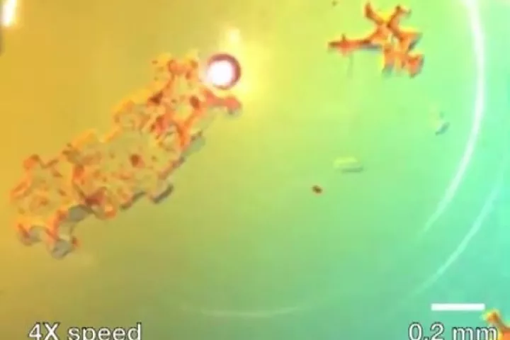 Air bubbles in a saline solution can be controlled with high precision by a laser beam, which effectively turns them into microrobots capable of assembling microstructures