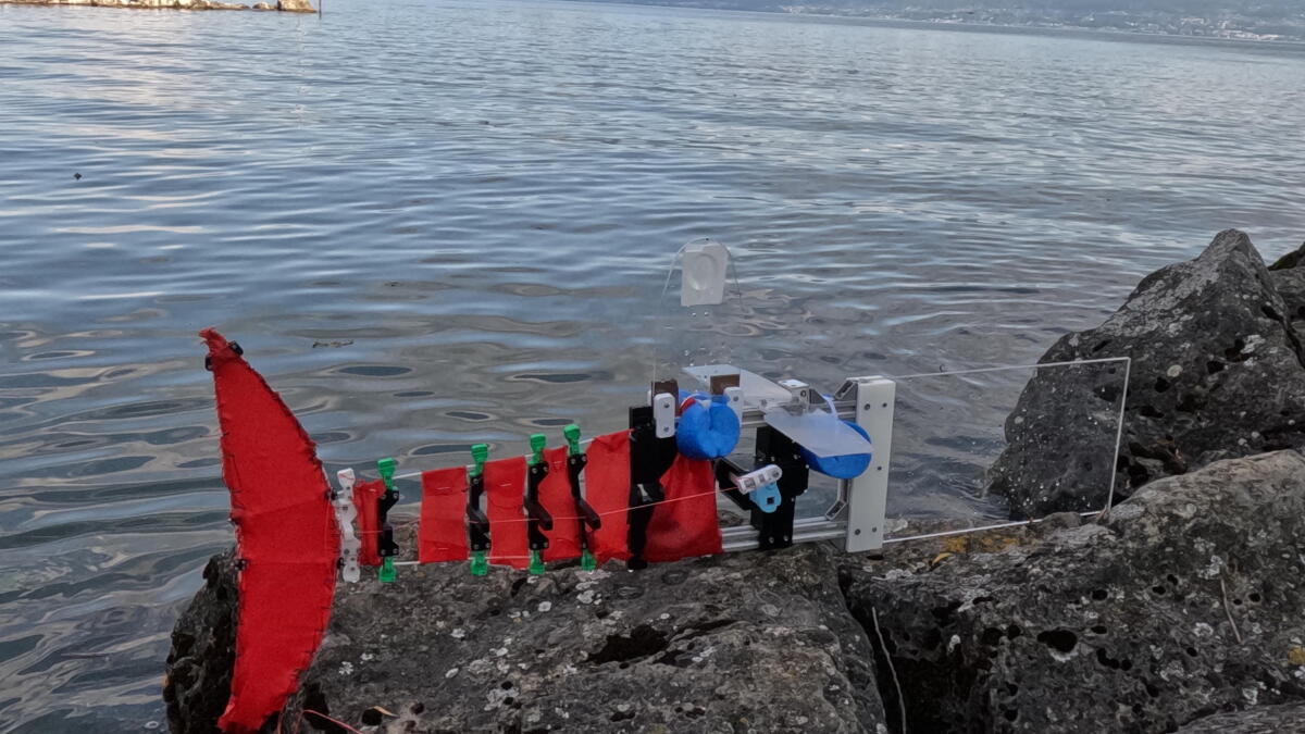 Robotic fish swims like the real thing, and can be built to any size