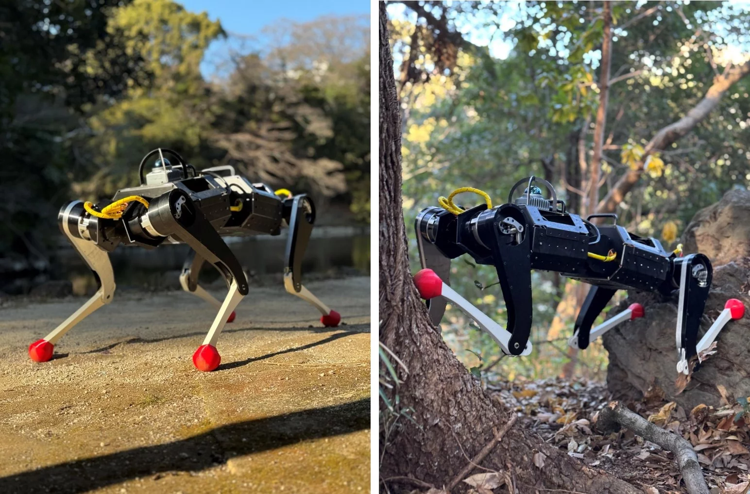 The KLEIYN robodog can tackle various terrains and climb in the wild too