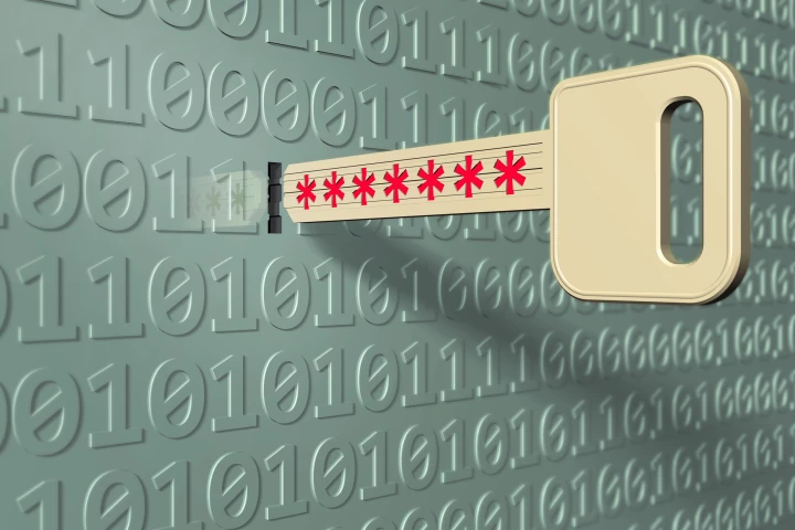 The human body has inspired a new form of digital security (Image: Shutterstock)