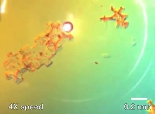 Air bubbles in a saline solution can be controlled with high precision by a laser beam, which effectively turns them into microrobots capable of assembling microstructures