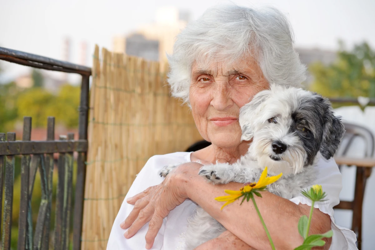 A sensor worn by dogs may assist in monitoring the seniors who own them (Photo: Shutterstock)