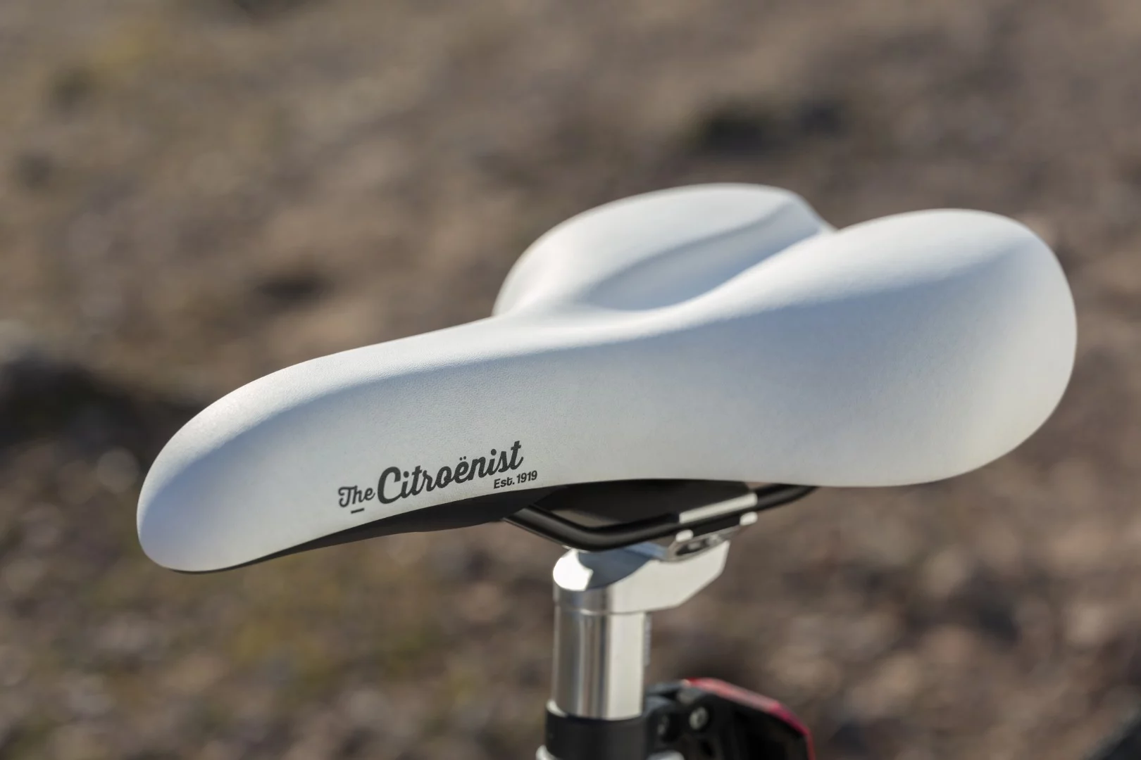 Martone Citroënist Rider bicycle