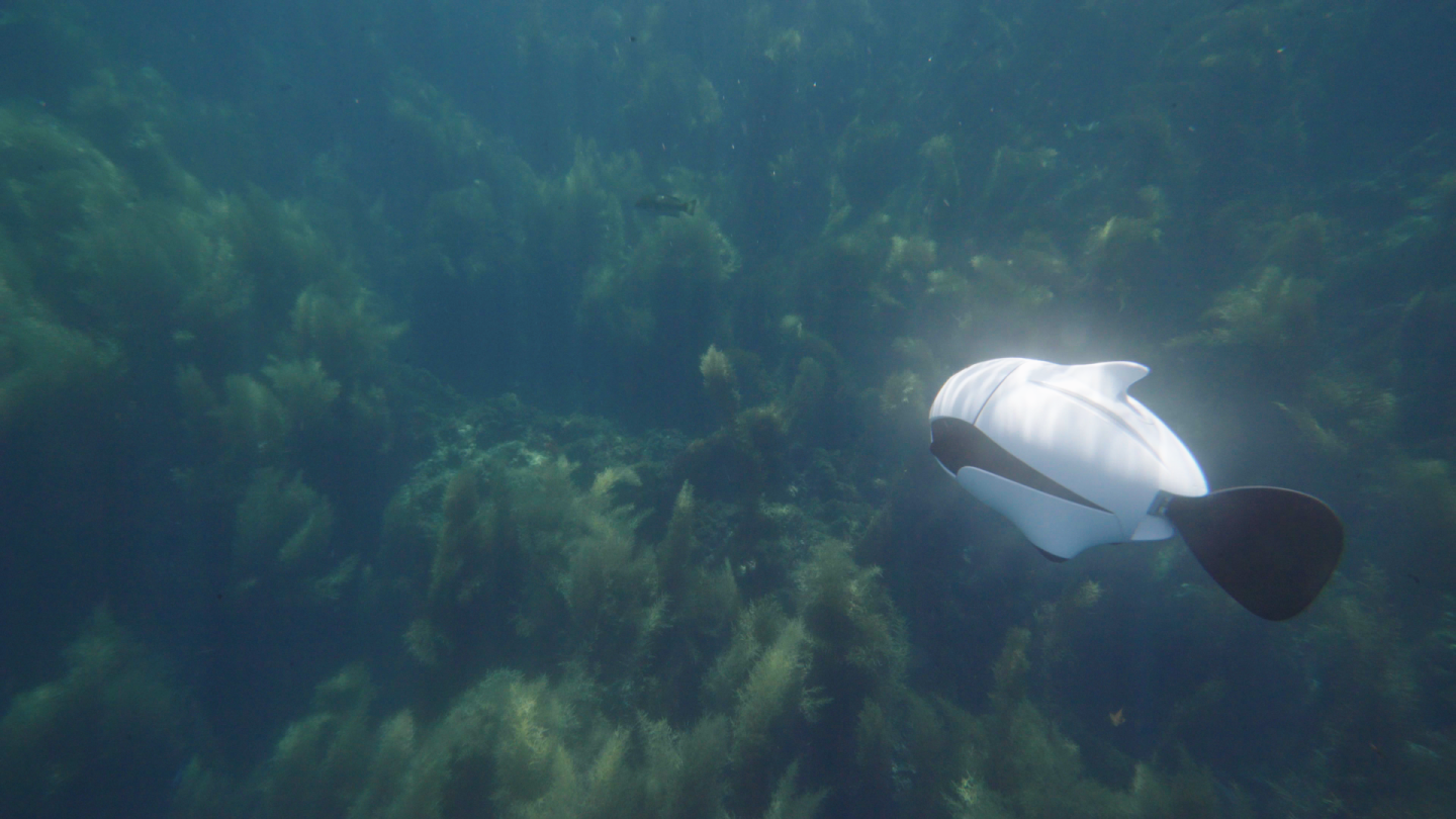 BIKI has a maximum dive depth of 196 ft (60 m)