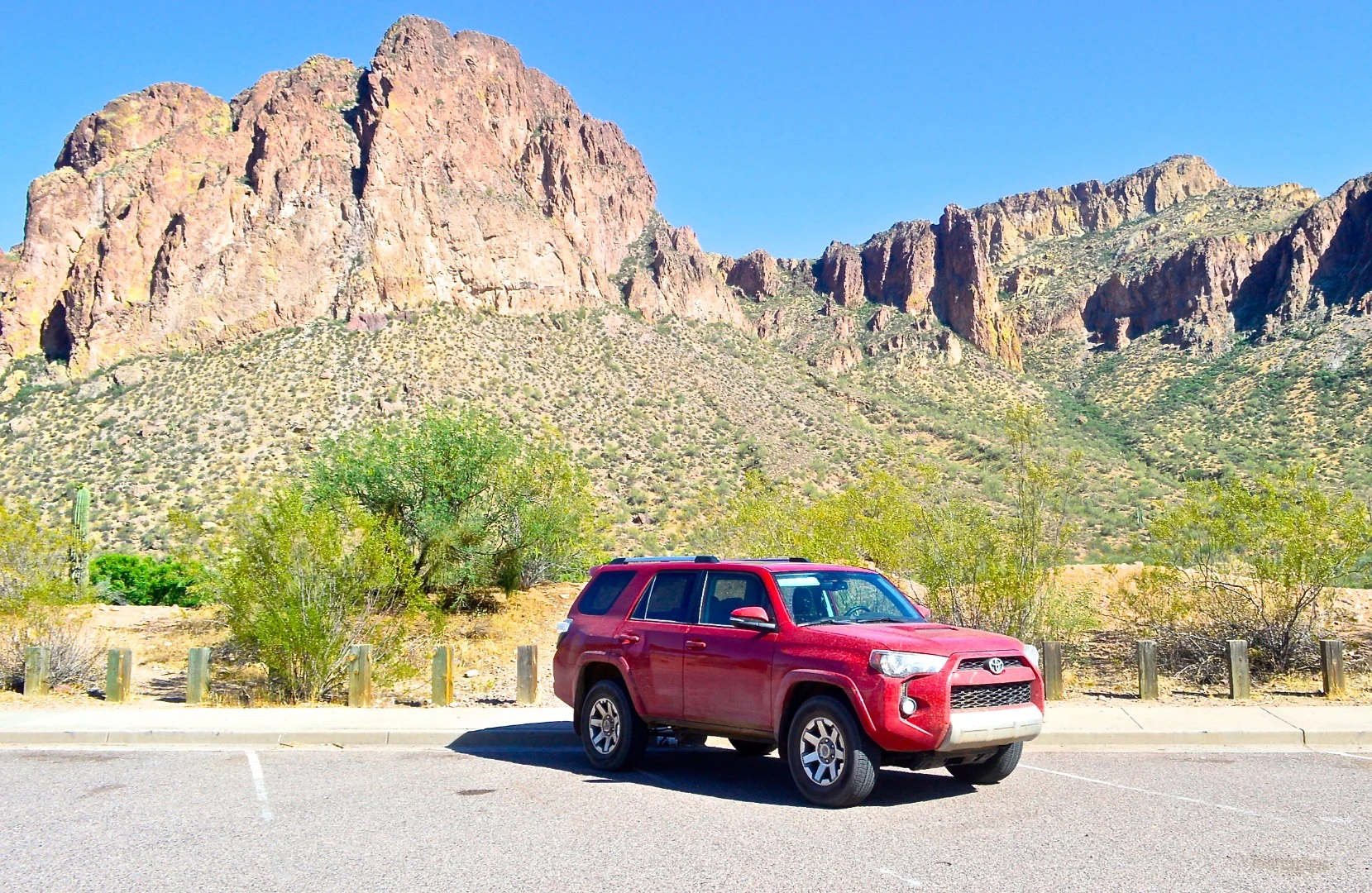 The dry, sun-beaten mountains just outside Phoenix have a little more color and life close up