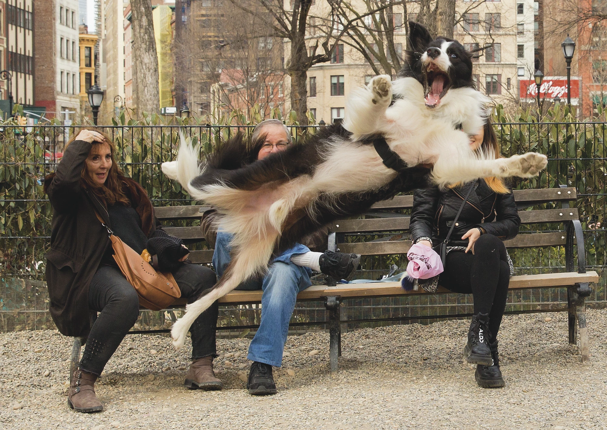 "Barking" (USA)