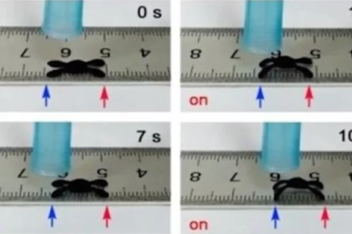 A mini moisture-powered critter made of graphene oxide moved a few millimeters using only changes in humidity