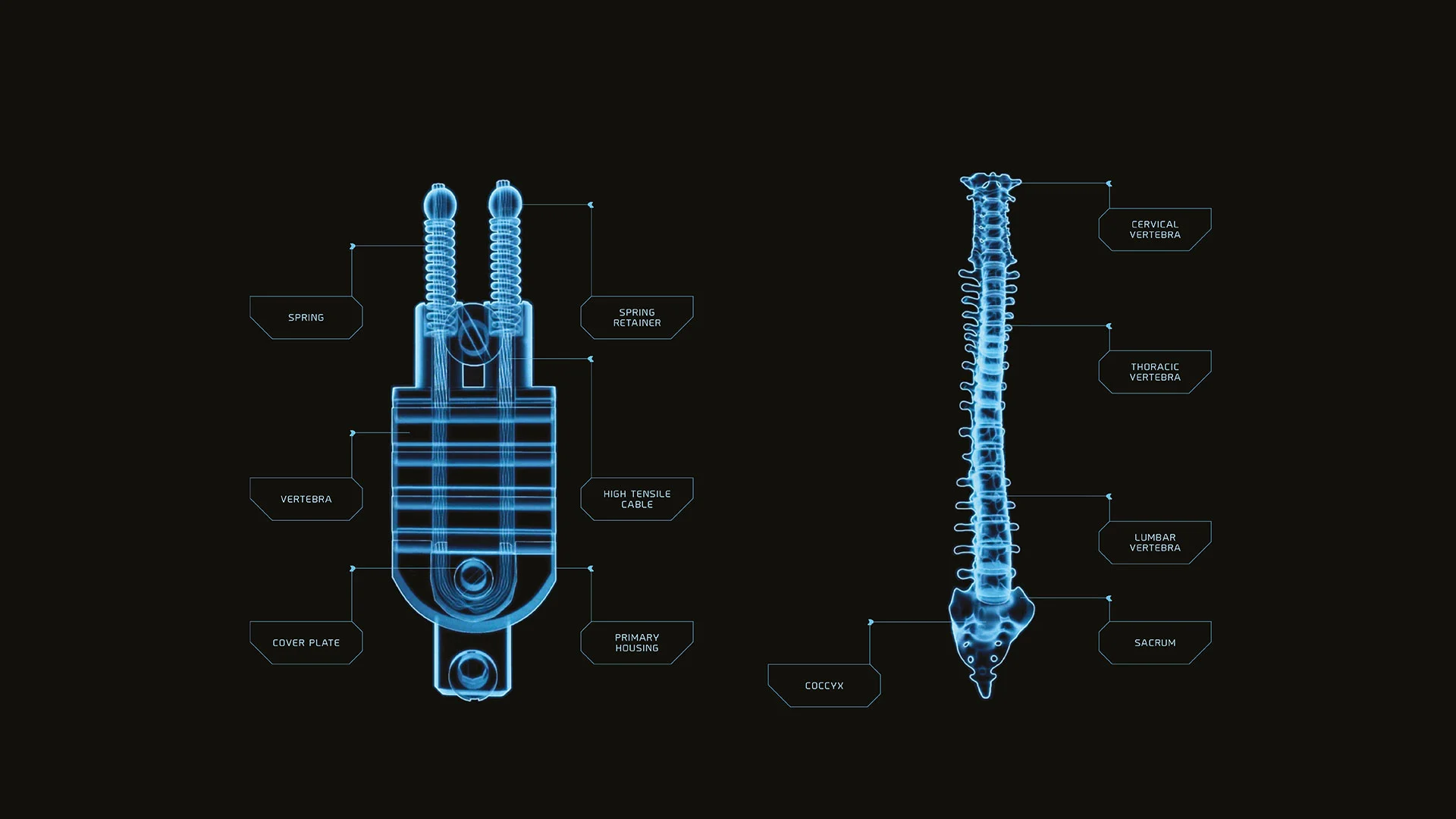 Spine Optics' hinge is designed to mimic the human backbone
