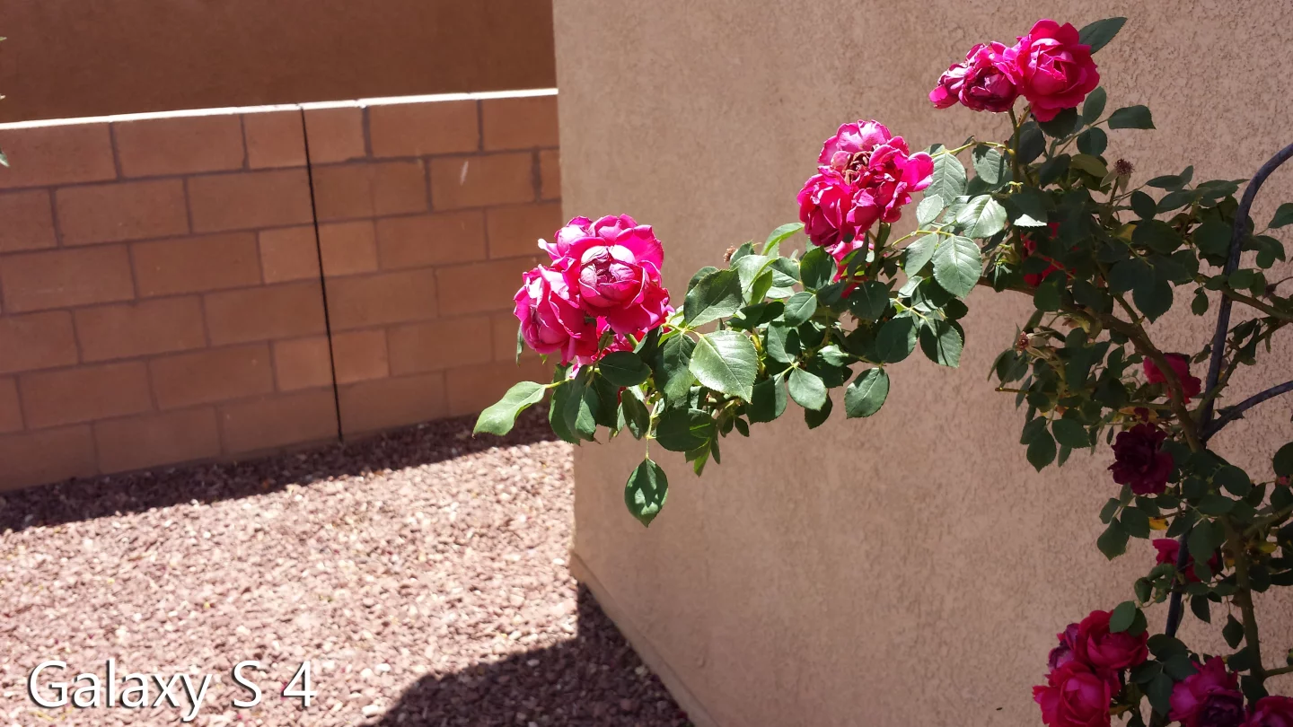 Outdoor (direct sunlight) shot taken with the GS4