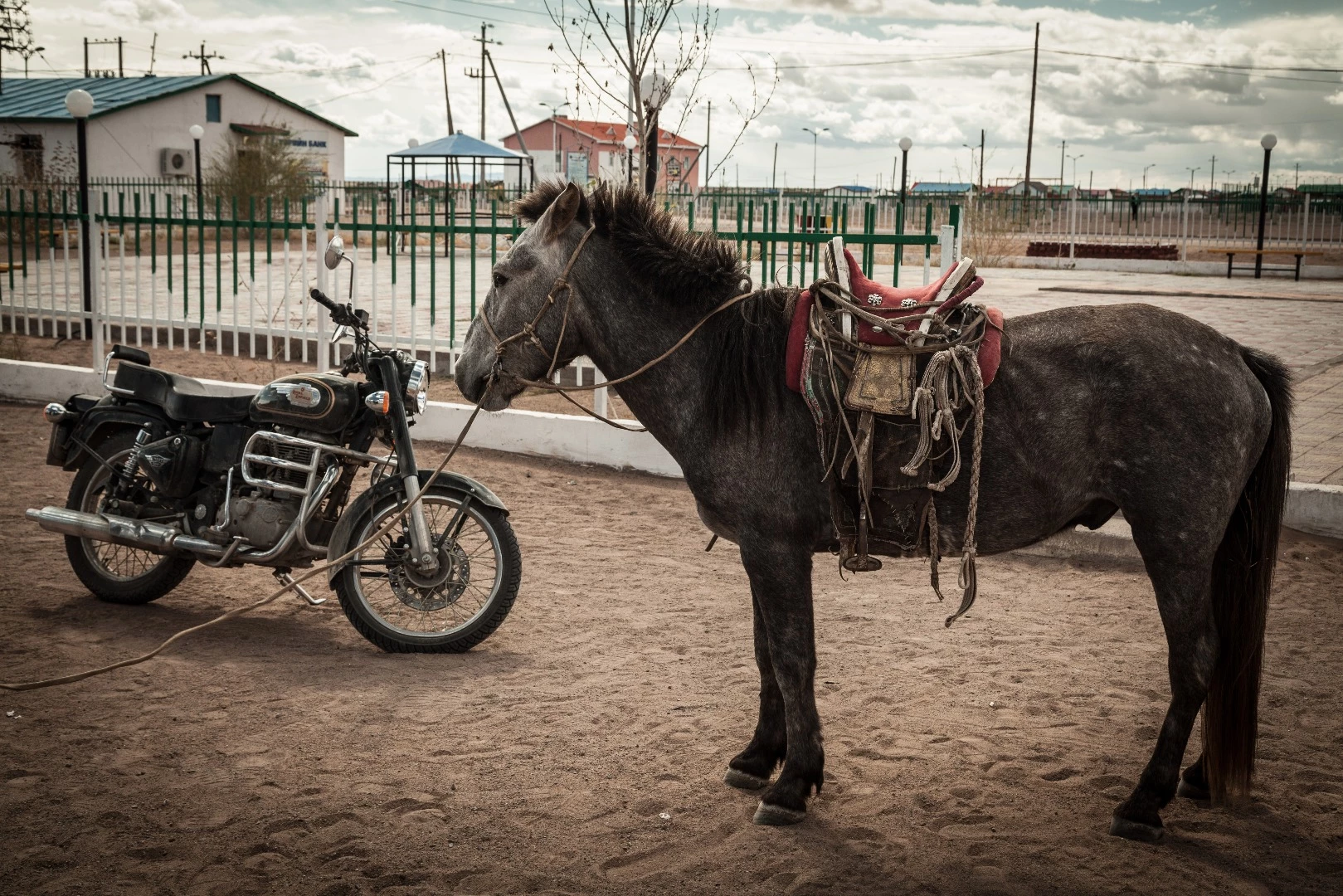 Some say the motorcycle is starting to replace the horse in Mongolian culture. A meeting of the past and the future, Myangad
