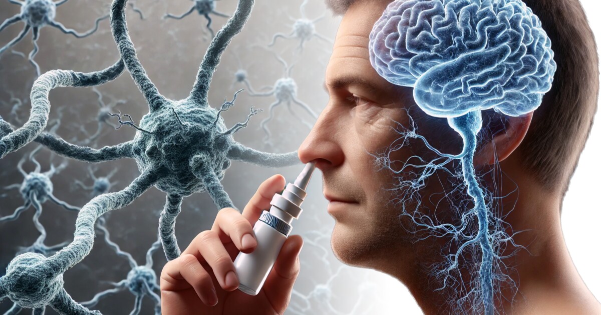 One-dose nasal spray clears toxic Alzheimer's proteins to improve memory