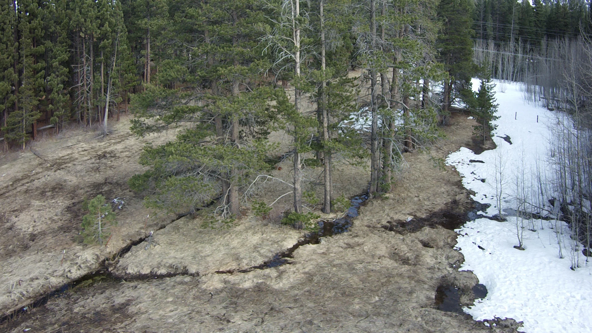 Still photo from ProDrone Byrd Standard