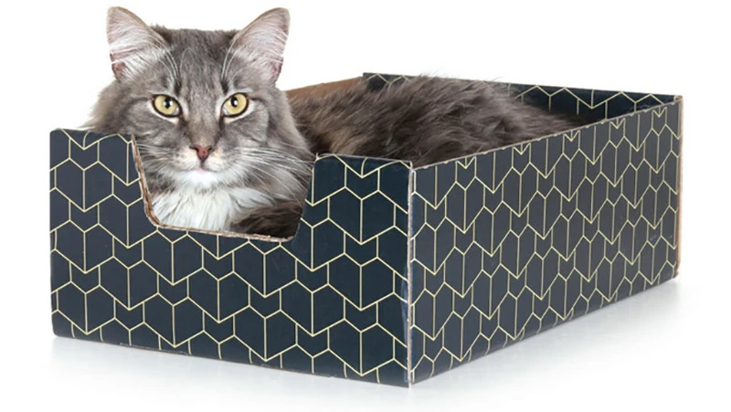 The Purrfect Pet Box is a pimped-out cardboard box for all your feline friends