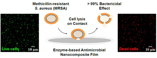The Enzyme-based antimicrobial nanocomposite film (Image: Rensselaer/Ravindra C.Pangule)