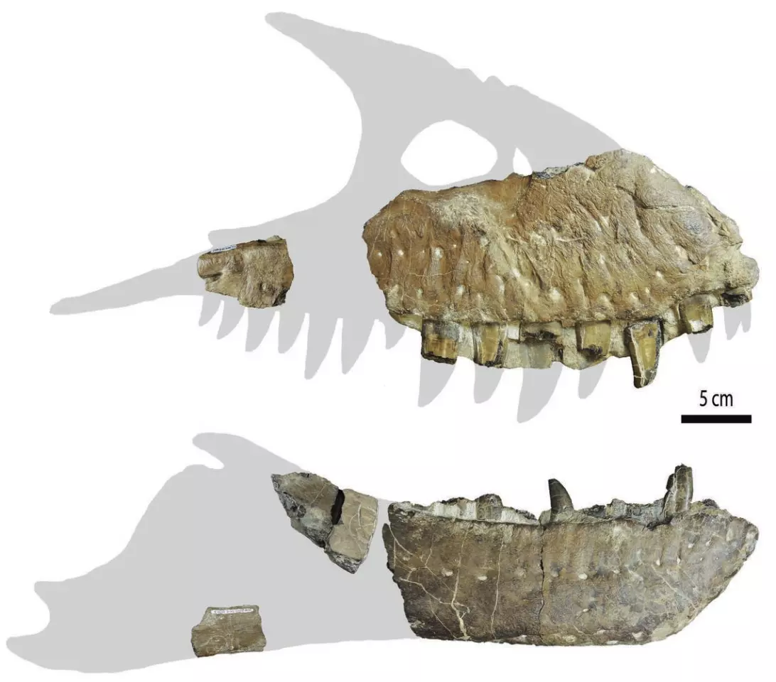 Thanatotheristes jawbones