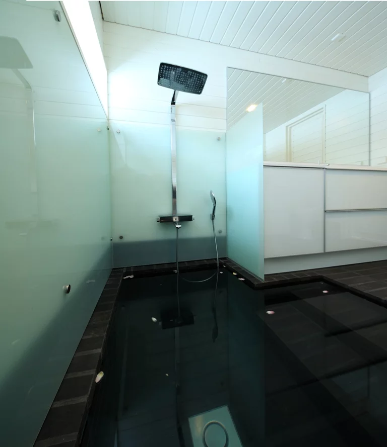 Apelle features a dramatic bathroom