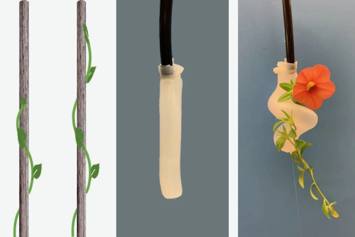 The device (white, at right) curls itself around a delicate flower