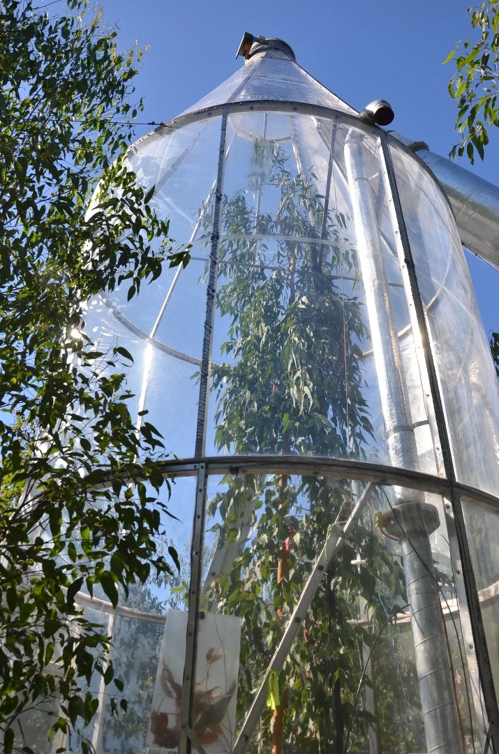 These chambers allow researchers a better understanding of how plants adjust to altered climate conditions