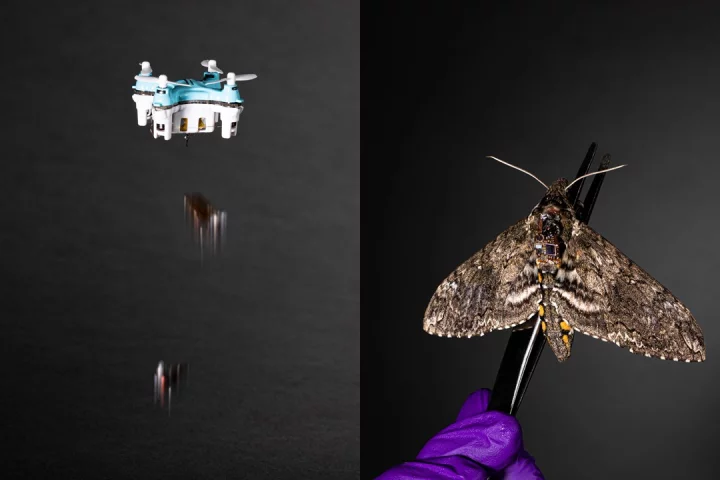 A new sensor system could be attached to small drones or insects, and dropped into environments to study for years at a time