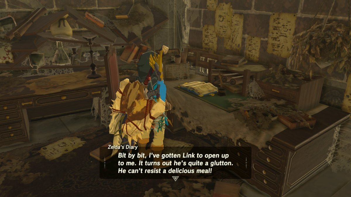 Zelda's diary