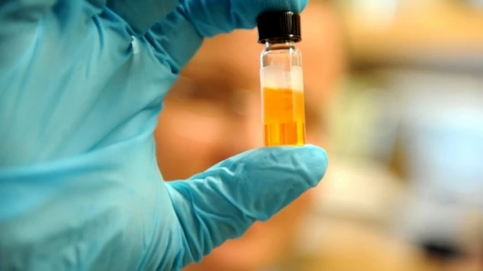 A vial of nanocrystals in solution, which serve as “electronic glue” for semiconductor-based technologies(Photo: Dan Dry)