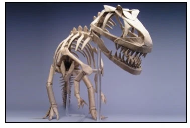 Robert Lang's Origami art