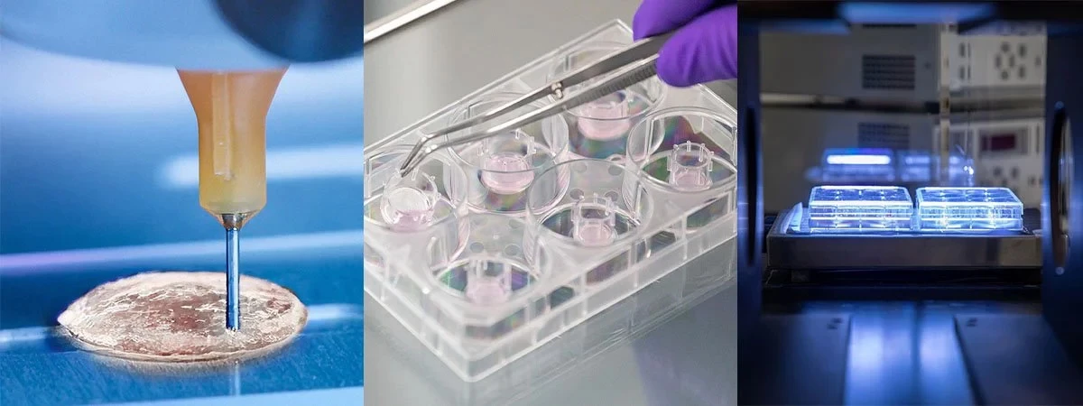 L'Oreal says it's developed a 3D-printing method for reconstructed human skin, and demonstrated its work at a conference in Paris last year