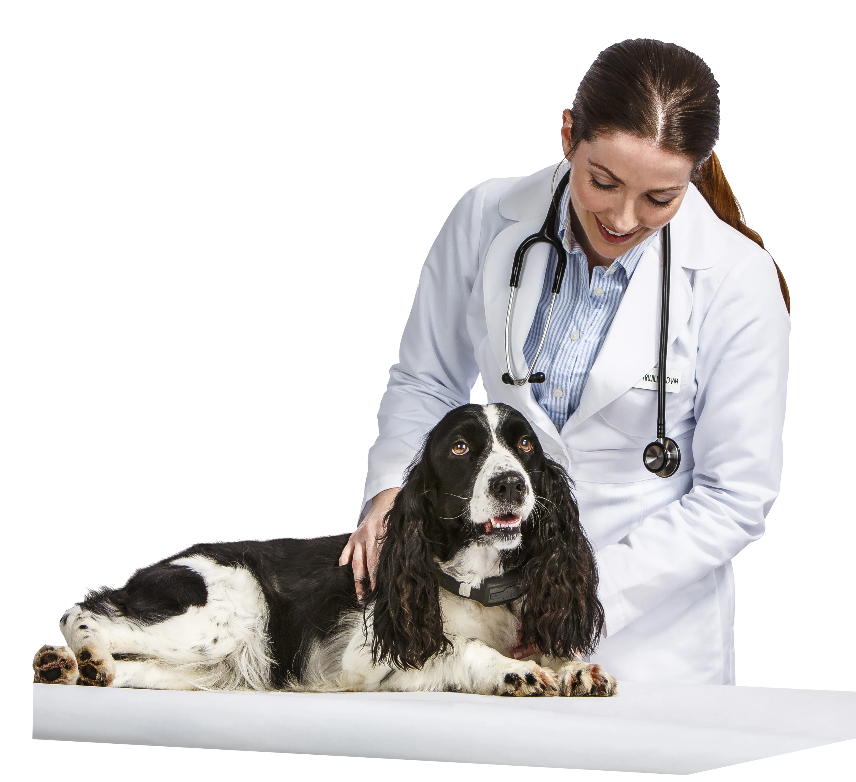 The system allows animal health professionals to dig deep into the routines, exercise patterns and overall condition of a Voyce-monitored dog