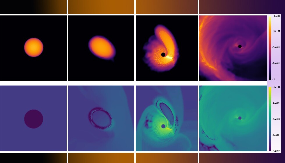 Images from the simulations - top row represents changes in density as a white dwarf passes a black hole, while the bottom row represents temperature