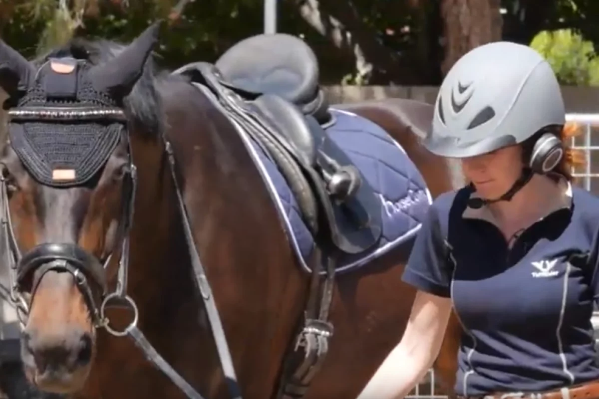 HorseCom is a headset that lets horses listen to music