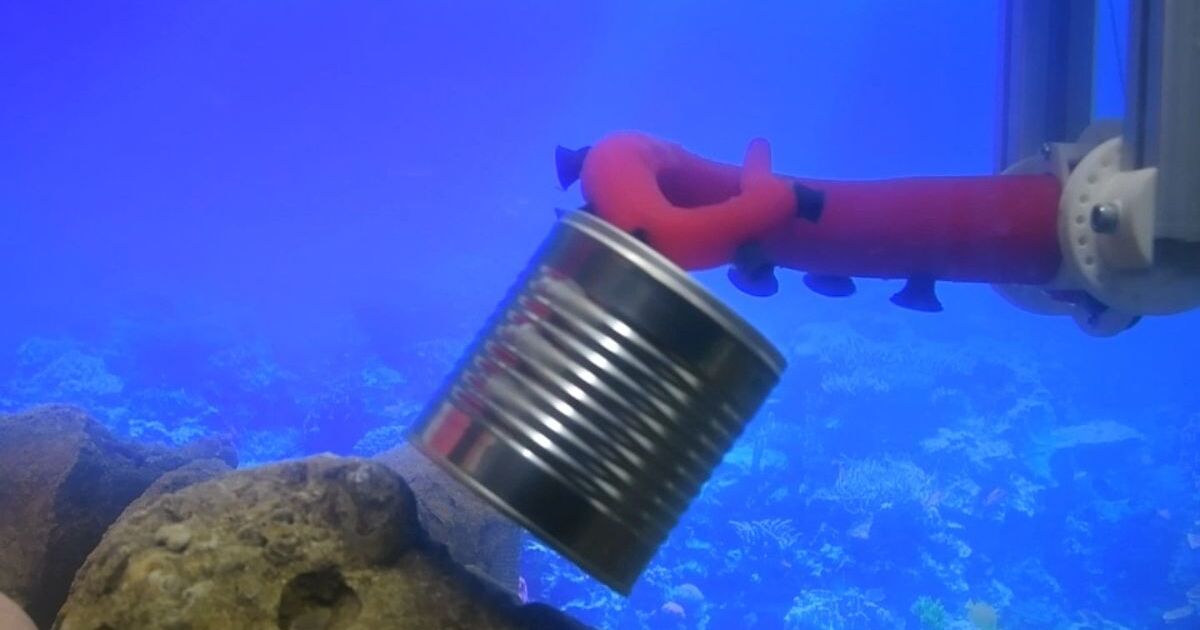 The robotic tentacle during underwater lab trials at the Italian Institute of Technology