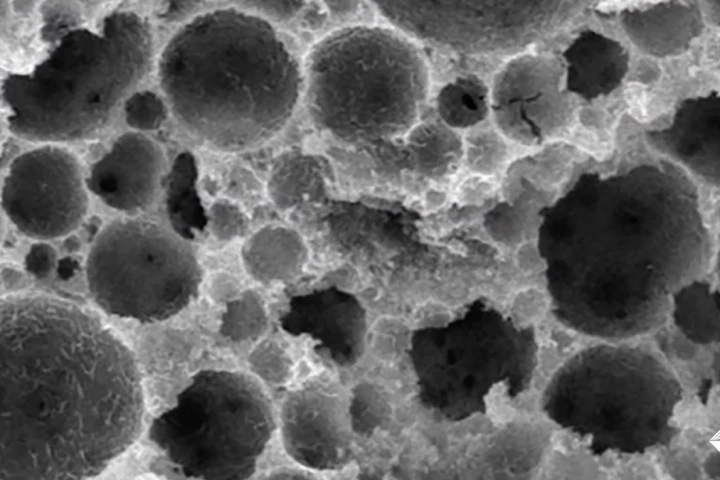 A microscope image of the PDMS-lined pores within the superhydrophobic concrete