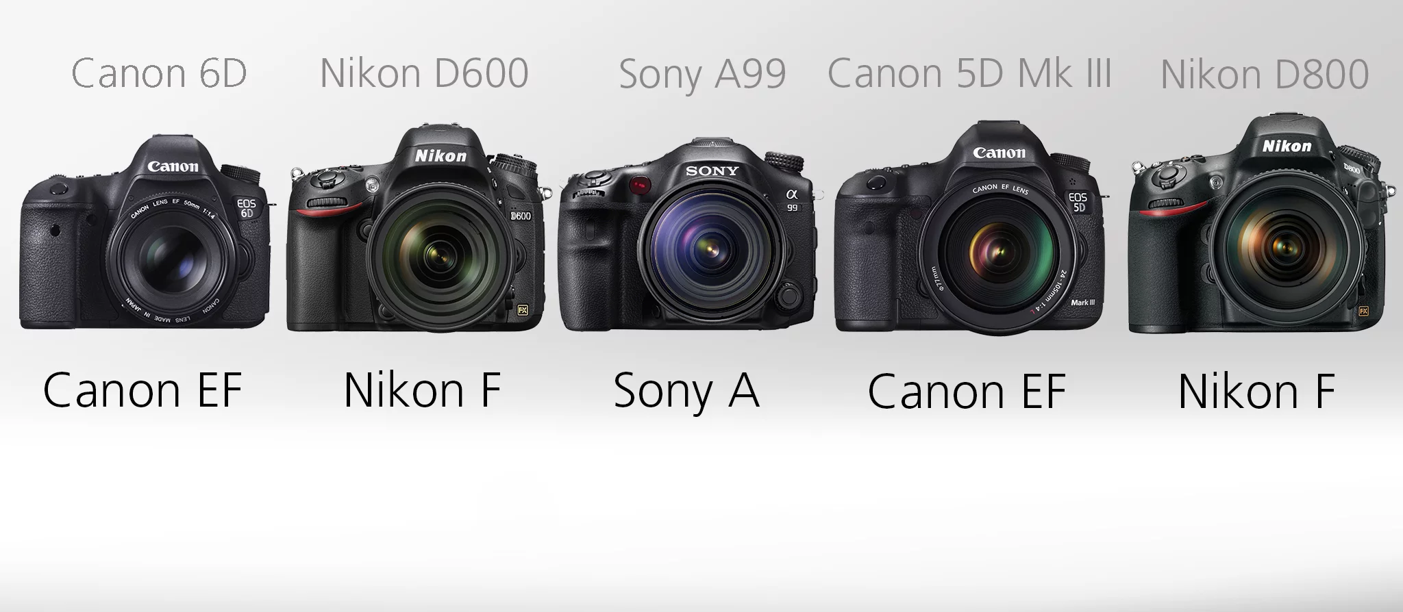 Full Frame DSLR Comparison Guide - Lens mount