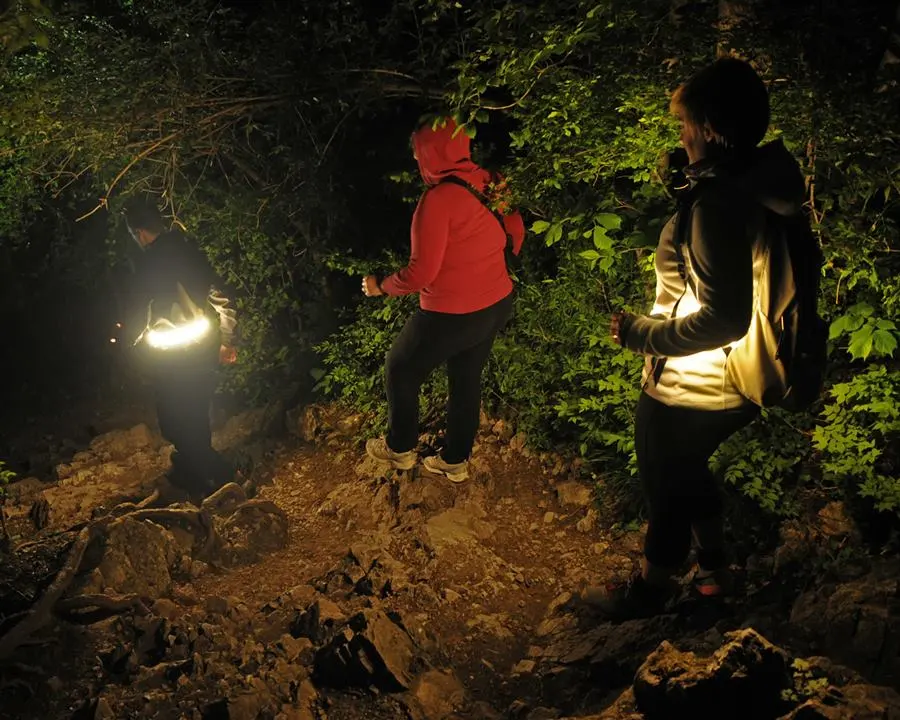 Some of the OliLight's features can also be customized through the companion smartphone app