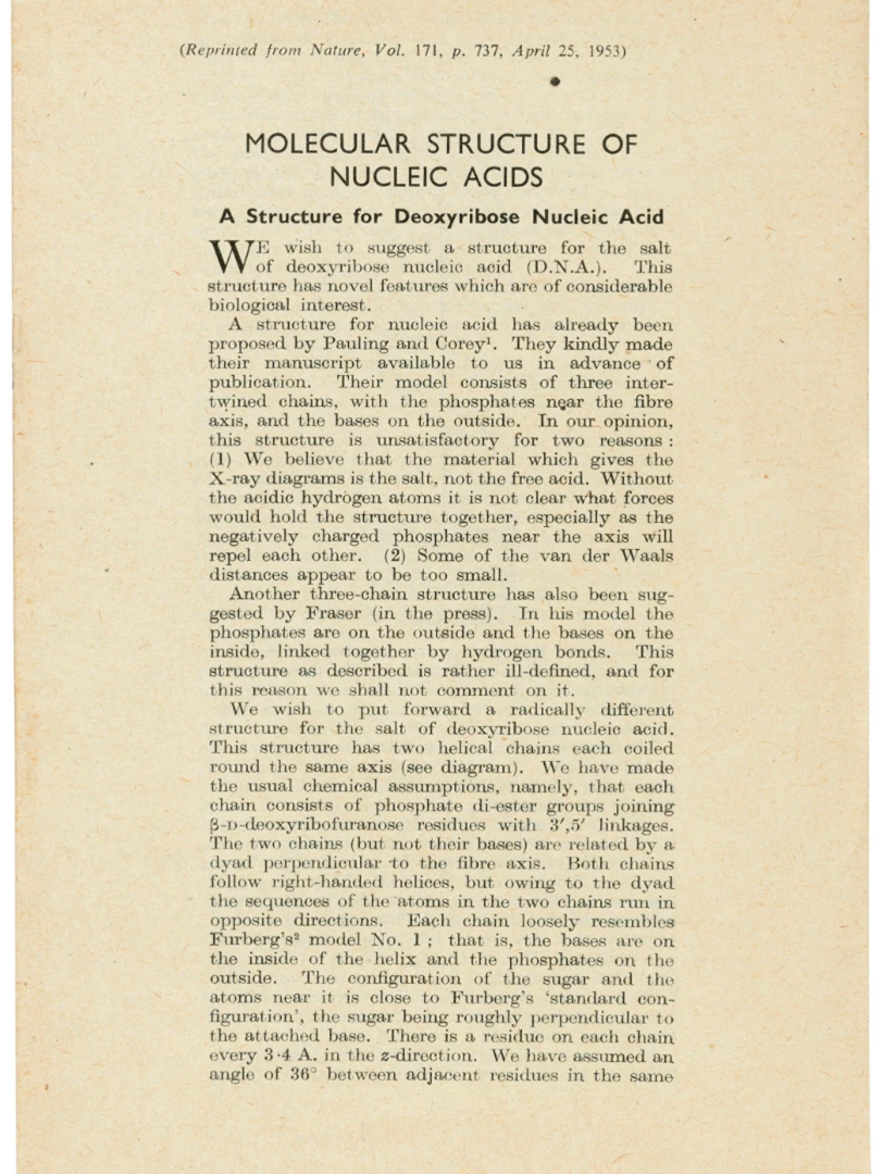 Molecular Structure of Nucleic Acids by James Watson and Francis Crick (April 25, 1953) | Auction Description | Estimate: $7,596 to $10,128 | Auction Date: July 9, 2019