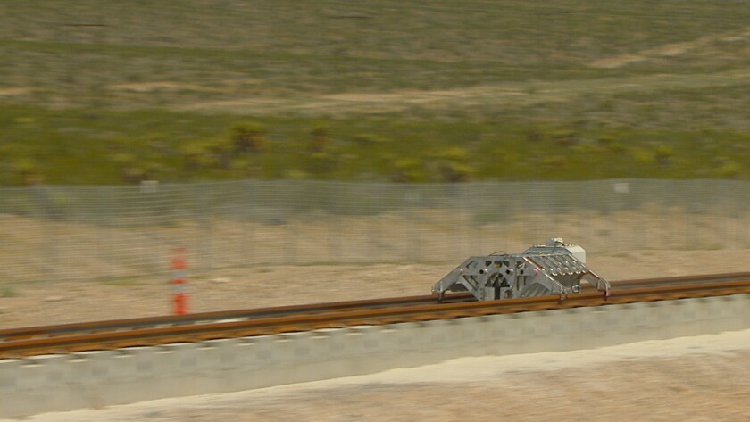 Sandshark making its run