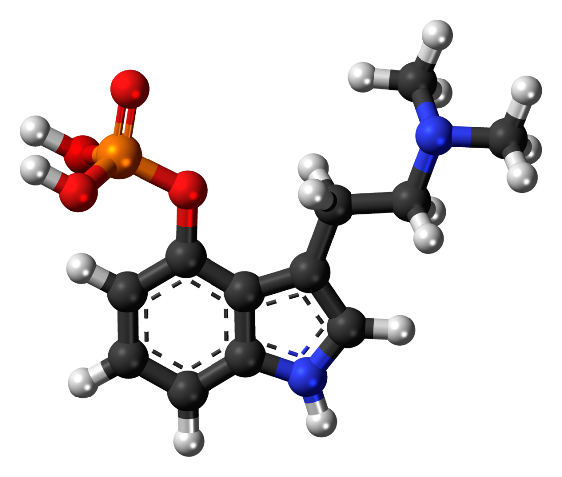 The psilocybin molecule