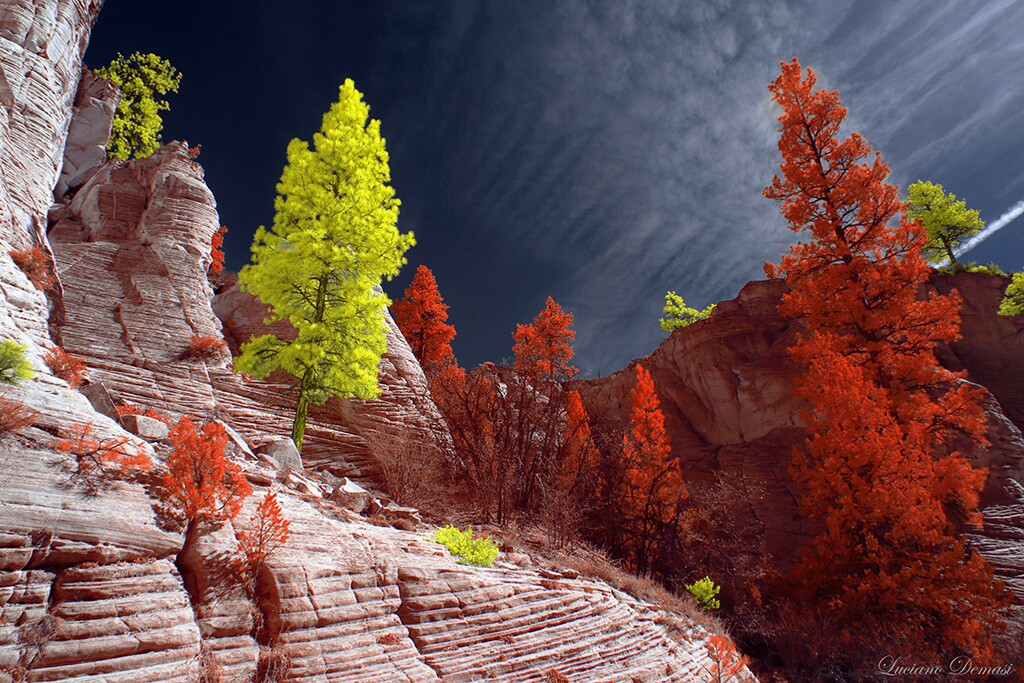 Overall Grand Prize winner, as part of the Photo Essay category, a collection called Utah
