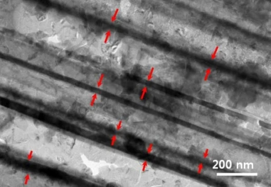 A bundle of silicon nanotubes - arrows indicate the tube walls