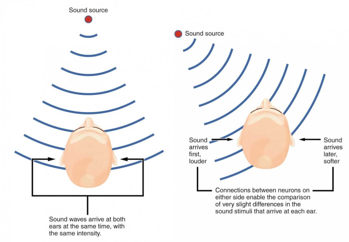 Binaural audio: recreates the exact way your ears hear the world.
