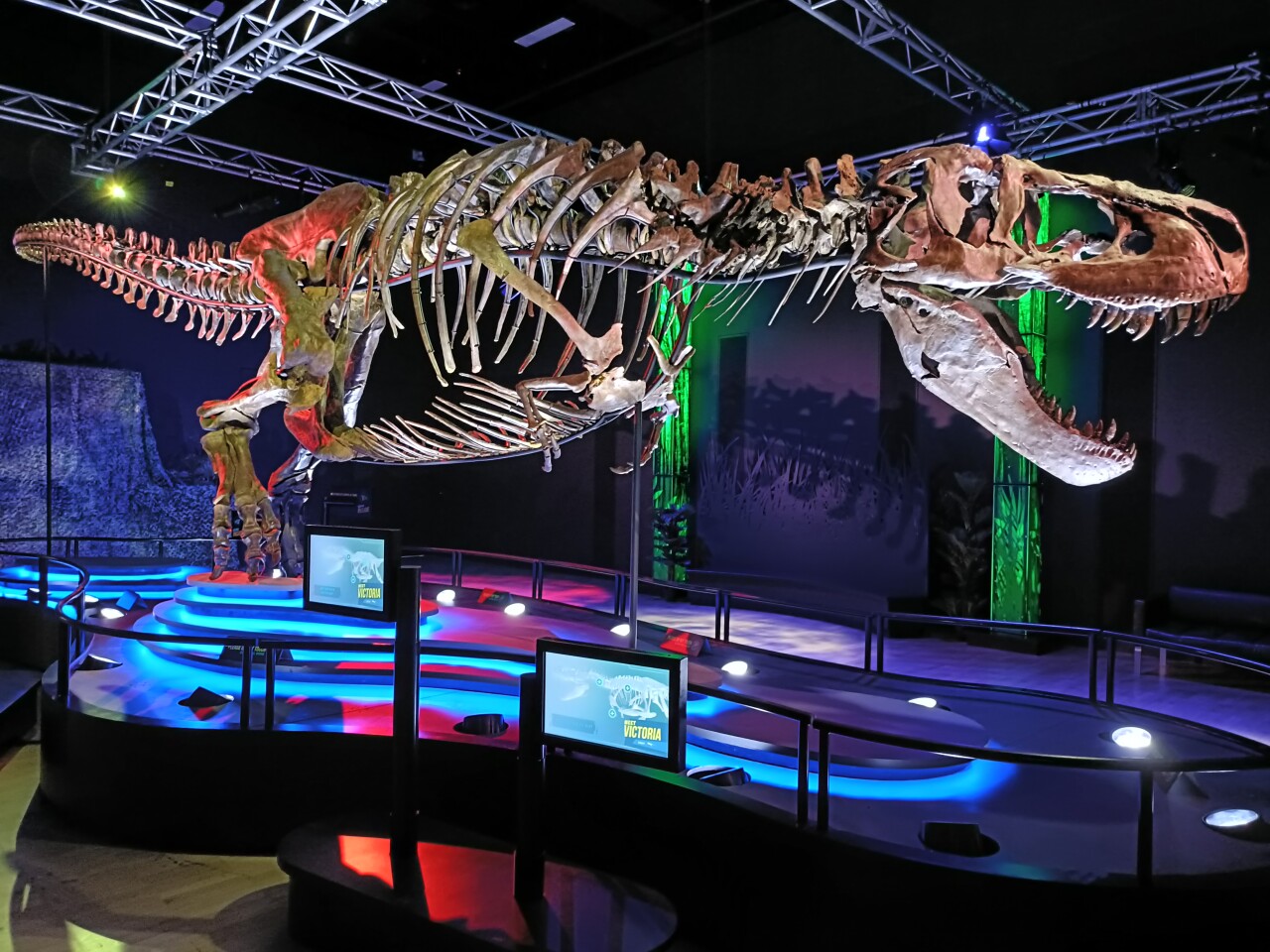Standing beside a real life Tyrannosaurus rex is an experience that will bring back your childhood wonder of dinosaurs