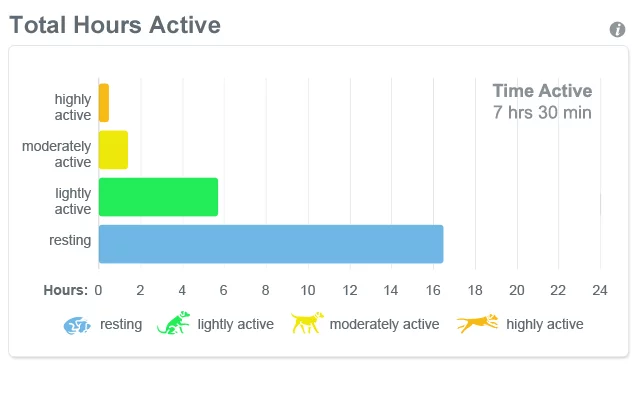 Tagg tracks your pet's total time active