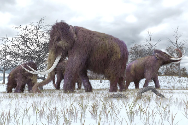 Researchers at UCSB have put forward ecological guidelines on determining how viable it may be to revive extinct animals