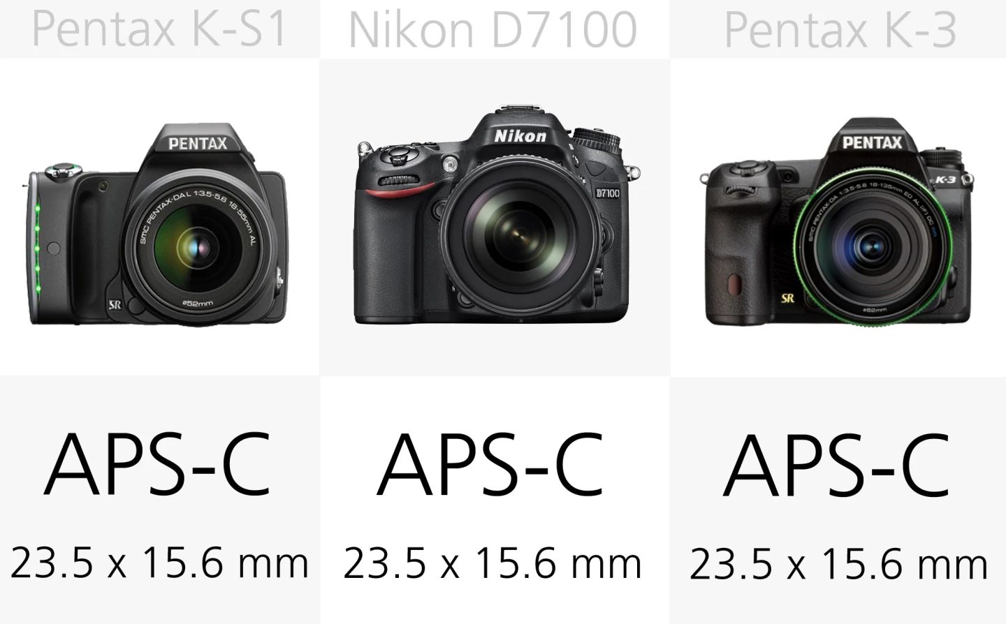 All of these DSLRs use APS-C size sensors